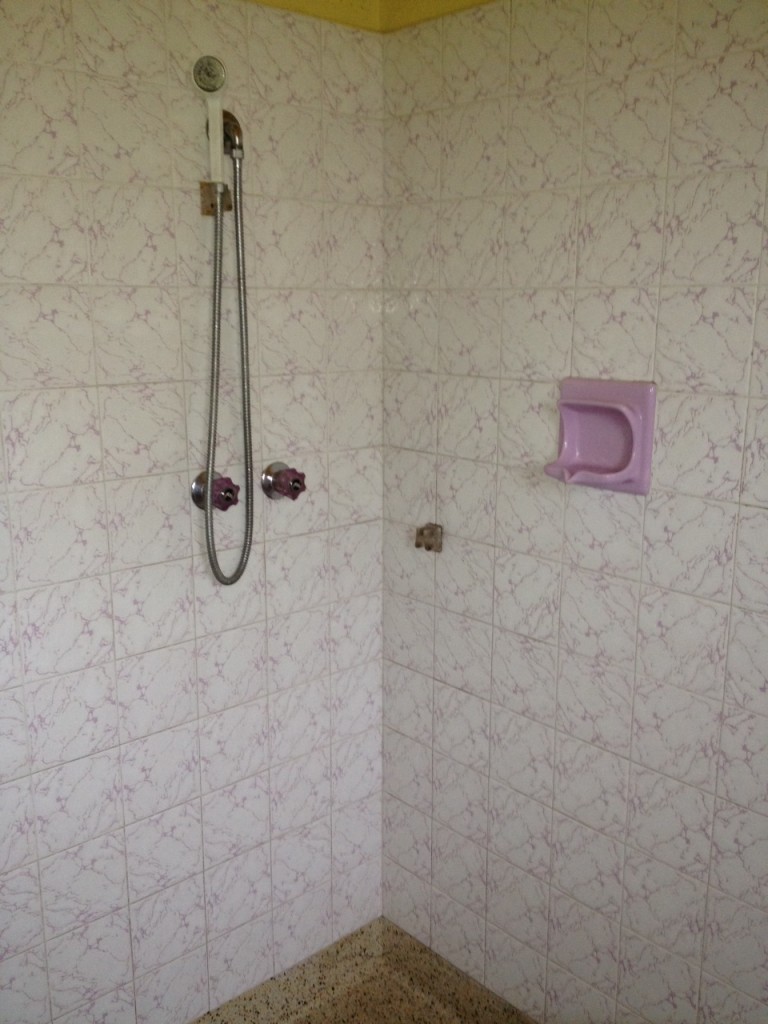 Vacate clean/End of lease clean before picture - shower after