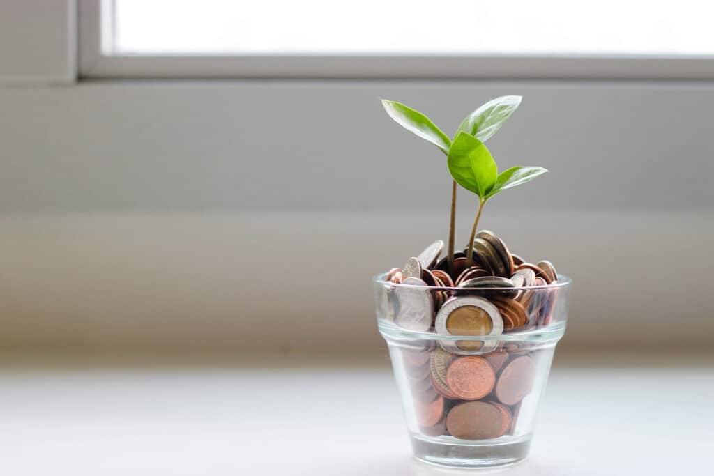 Plant sprouting from a clear plant pot filled with coins 